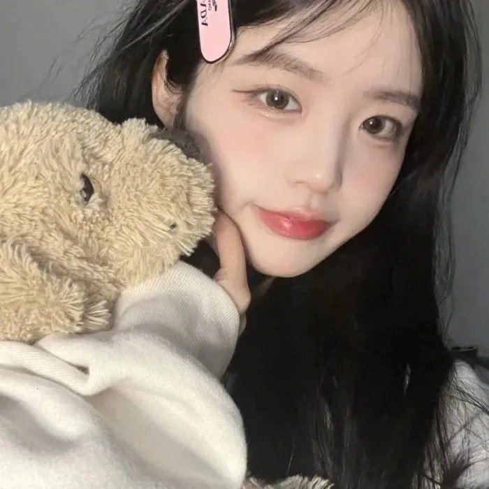 梅花档案